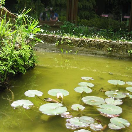 Hotel Chiar Di Luna Laino Borgo Zewnętrze zdjęcie